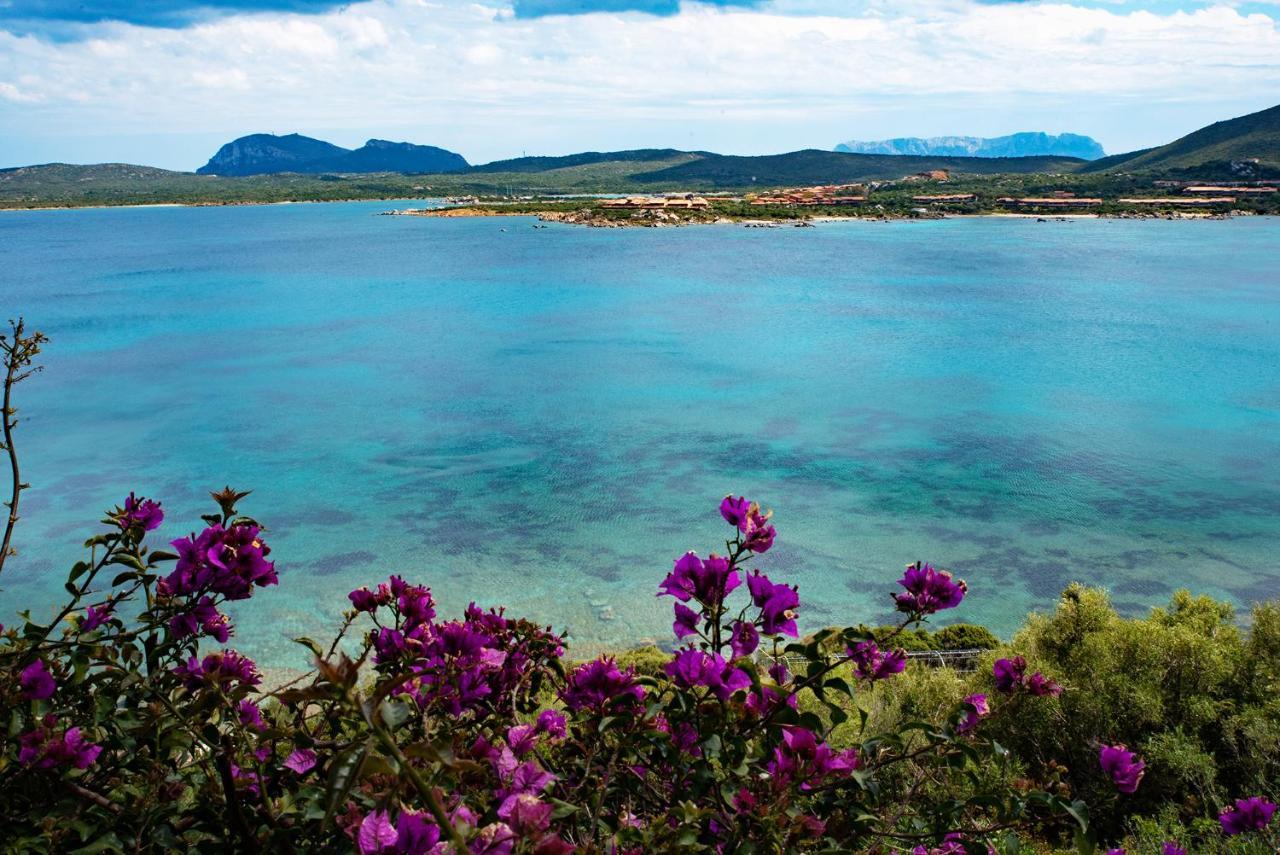 Ferienwohnung Casa Valery Wonderful Sea View Porto Rotondo Exterior foto